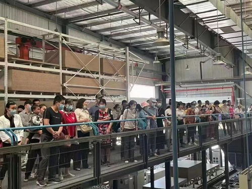 黃石浩天家裝 索菲亞4.0智能工廠行現(xiàn)場(chǎng)圓滿結(jié)束